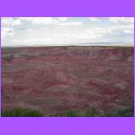Painted Desert 5.jpg